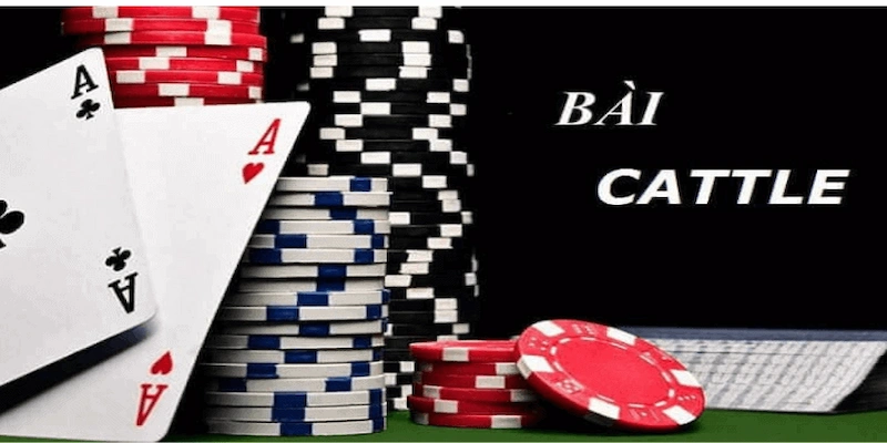 Những quy tắc cơ bản trong cách chơi bài cát tê