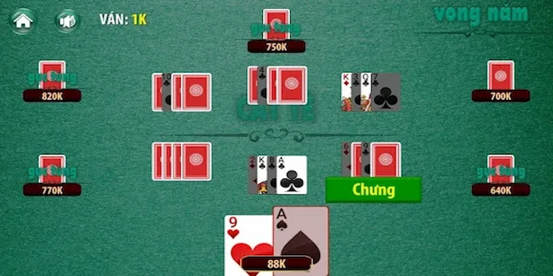 Học hỏi từ kinh nghiệm của chuyên gia catte