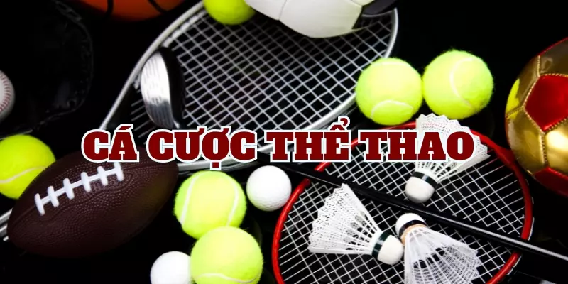 Cược thủ được cung cấp đa dạng các sảnh chơi chất lượng cao