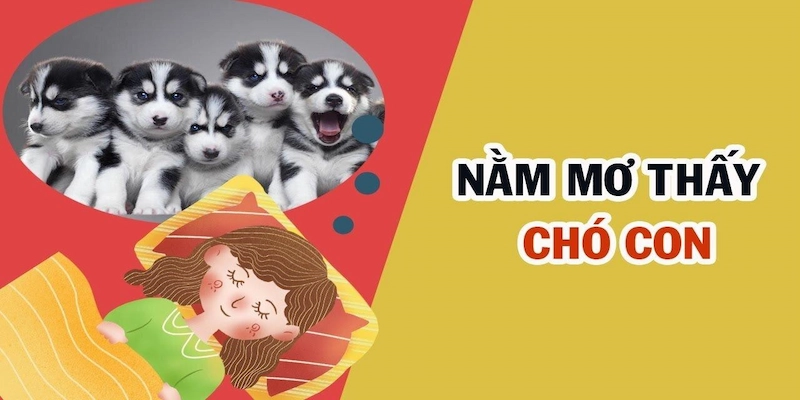 Thấy chó con - Dấu hiệu của sự khởi đầu mới và sự vô tư
