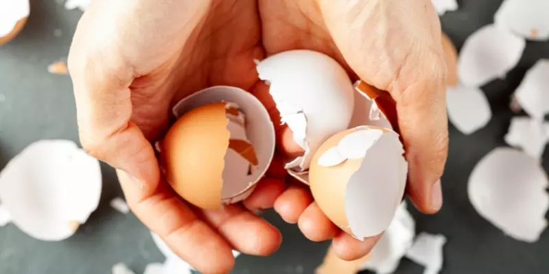 Tìm hiểu về giải mã giấc mơ thấy trứng gà