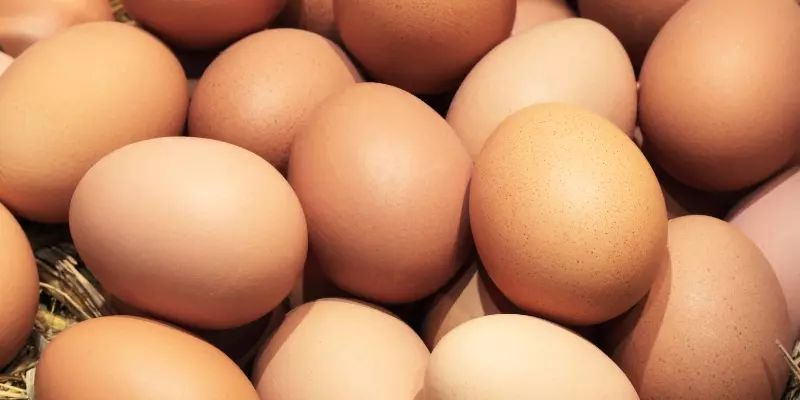 Ngủ chiêm bao thấy nhiều trứng gà thể hiện điềm báo về sự sung túc