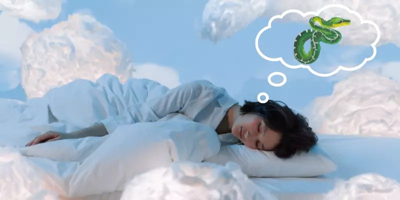 Chiêm bao thấy trăn khổng lồ có thể báo hiệu bạn đang sắp đối mặt với thử thách lớn