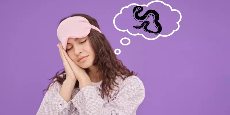 Mơ thấy hai con trăn có thể ám chỉ bạn đang phải đấu tranh nội tâm hoặc mâu thuẫn trong mối quan hệ nào đó